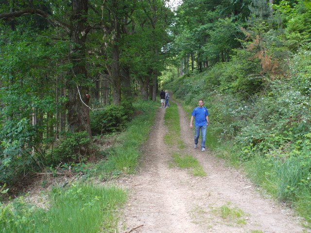 2014hwk 108.jpg